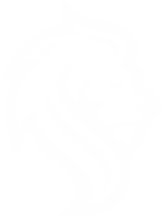WSConsulti